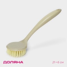 Щетка для посуды доляна, 21×6 см