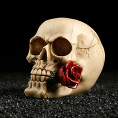 Декор для аквариума last love, 14 х 9 х 11 см No Brand