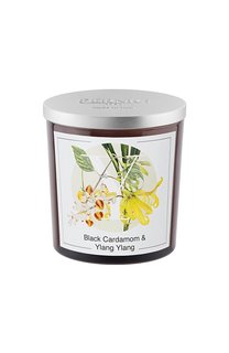 Свеча Black Cardamom & Ylang Ylang (350g) Pernici
