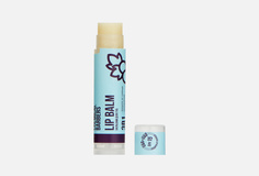 Бальзам для губ 3в1 SPF 15 THE Chemical Barbers