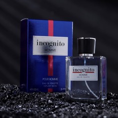 Art Parfum Туалетная вода мужская Incognito Homme, 100 мл АРТ ПАРФЮМ