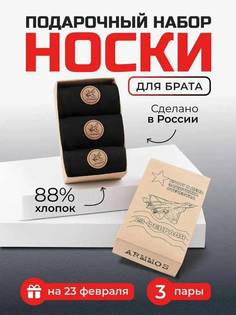 Носки мужские Универсальные черные 41-46 No Brand