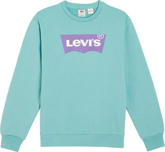 Свитшот мужской Levis Men Standard Graphic Crew зеленый M Levis®