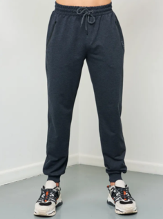 Спортивные брюки мужские ЕА62 БР-1 серые 54 RU