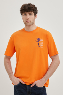 Футболка мужская Finn Flare FBE21069-1P оранжевая XL