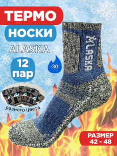 Комплект носков мужских ALASKA А1 в ассортименте 42-48, 12 пар