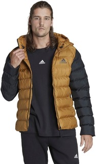 Куртка мужская Adidas INTERSPORT SDP коричневая XL