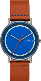 Наручные часы мужские Skagen SKW6899