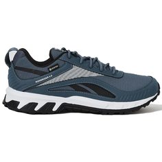 Кроссовки мужские Reebok RIDGERIDER 6 GTX синие 43 EU