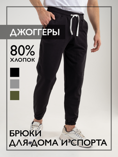 Спортивные брюки мужские Norm БЧ черные 46 RU