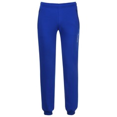 Спортивные брюки мужские ONLYTOP Р00020405 синие 40