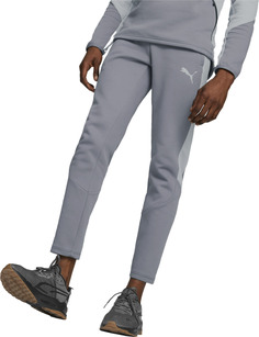 Спортивные брюки мужские Puma 67331569 серые XL