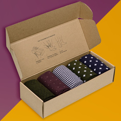 Подарочный набор носков мужских Flappers Peppers 5-1МБ19-11 разноцветных 40-44, 5 пар