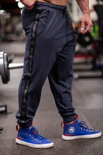 Спортивные брюки мужские INFERNO style Б-005-000 серые XL