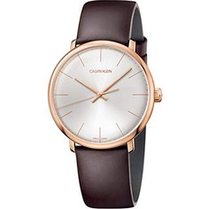 Наручные часы мужские Calvin Klein K8M216G6