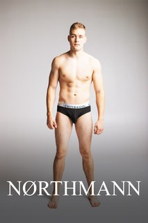 Трусы мужские NORTHMANN BR черные XL