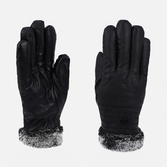 Перчатки мужские 9731794 черные, one size No Brand