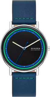 Наручные часы мужские Skagen SKW6901