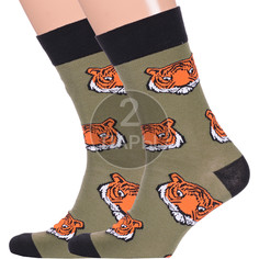 Комплект носков мужских Para Socks 2-FS6 хаки 41-45, 2 пары