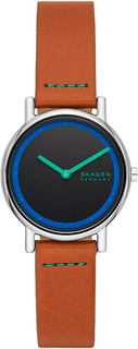 Наручные часы женские Skagen SKW3116