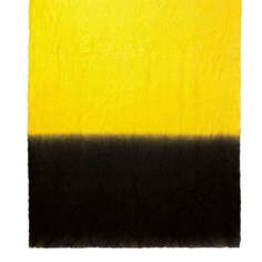 Палантин женский Gianfranco Ferre 15620 желтый/золотистый/черный, 100х200 см