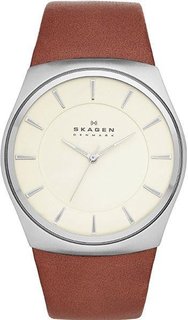 Наручные часы мужские Skagen SKW6084