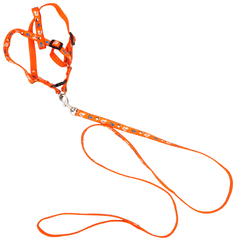 Шлейка для собак Пижон Собачки с поводком, оранжевая, обхват груди 27-42 см