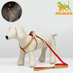 Комплект Пижон Косточки и лапки светоотражающий красный поводок 120 см шлейка 36-52 см 1,5