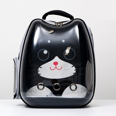 Рюкзак для переноски животных Пижон котик, 34х25х40 см, черный, прозрачный