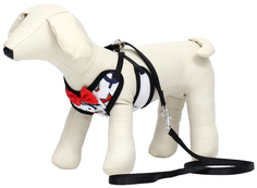 Комплект амуниции Пижон Морской, S, поводок 120x1,5 см, шлейка 23-42 см