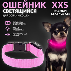 Ошейник светящийся для собак AT светодиодный розового, XXS - 1,5х17-27 см