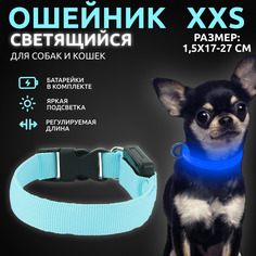 Ошейник светящийся для собак AT светодиодный голубого, XXS - 1,5х17-27 см
