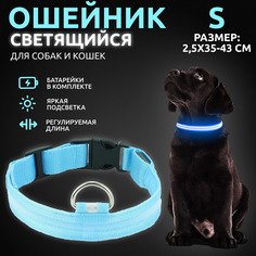 Ошейник светящийся для собак AT светодиодный голубого, S - 2,5х35-43 см