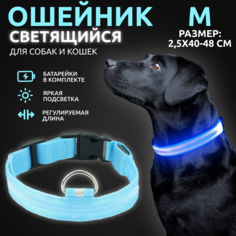 Ошейник светящийся для собак AT светодиодный голубого, M - 2,5х40-48 см