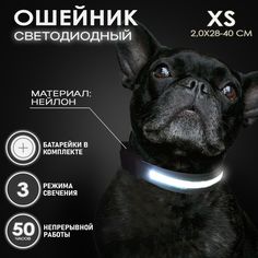 Ошейник светящийся для собак AT светодиодный черного, XS - 2,0х28-40 см