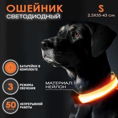 Ошейник светящийся для собак AT светодиодный оранжевого, S - 2,5х35-43 см