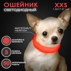 Ошейник светящийся для собак AT светодиодный красного, XXS - 1,5х17-27 см