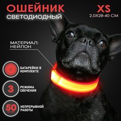 Ошейник светящийся для собак AT светодиодный красного, XS - 2,0х28-40 см