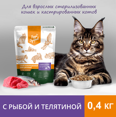 Сухой корм для кошек Будь Здоров, для стерилизованных, с рыбой и телятиной, 0,4 кг