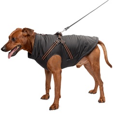 Жилет для собак Gamma Спорт, унисекс, черный, оранжевый, полиэстер, 2XL, длина спины 49 см