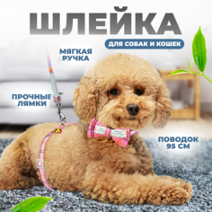 Ошейник для собак, шлейка Solmax&Zoo MUZ99281, розовый, обхват шеи 10-20 см