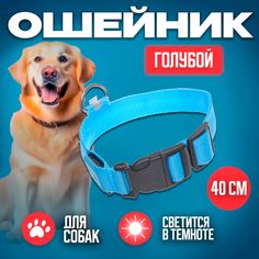 Ошейник для собак, Ultramarine, голубой 2,5х40см