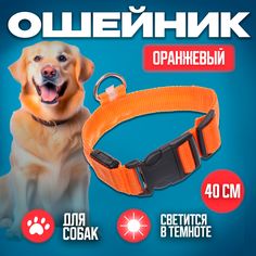 Ошейник для собак, Ultramarine, светящийся оранжевый 2,5х40см