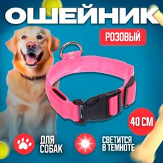 Ошейник для собак для дома и прогулок Ultramarine, розовый 2,5х40см