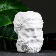 Цветочное кашпо Органайзер голова геракла 9291879 0,15 л белый 1 шт. No Brand