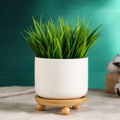 Цветочный горшок Эко 9319595 бежевый, белый 1 шт. No Brand