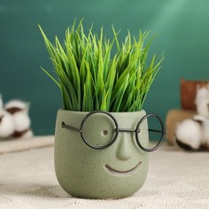 Цветочный горшок Take it easy Горшок который выжил 9431589 0,25 л темно-зеленый 1 шт.