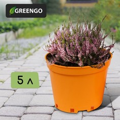 Горшок для рассады,Greengo, 5 л, 22 ? 18 см, жёлтый,