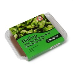 Набор для выращивания микрозелени My Greens: рукола, лоток, джутовый коврик No Brand