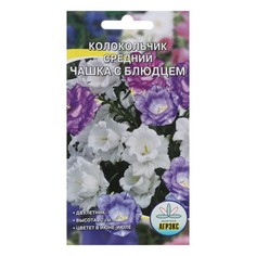 Семена колокольчик Чашка С Блюдцем 7552127-3p 3 уп. No Brand